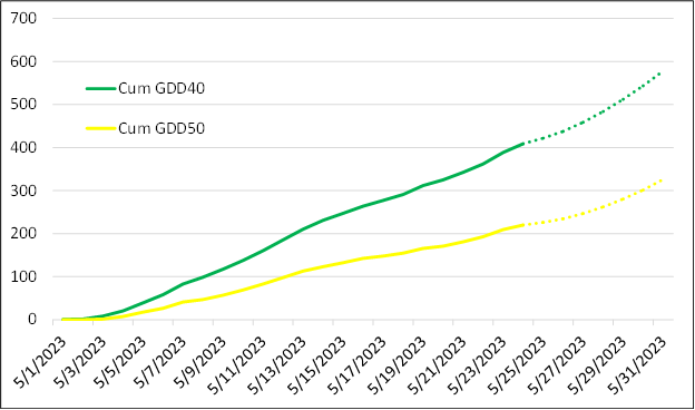 Growing degree days (GDD) base 40 degrees (green for forages, wheat) and base 50 degrees (yellow for corn, soybean) accumulation since May 1 as measured at the Kalamazoo Enviroweather station. Dashed lines indicate forecasted totals through May 31.
